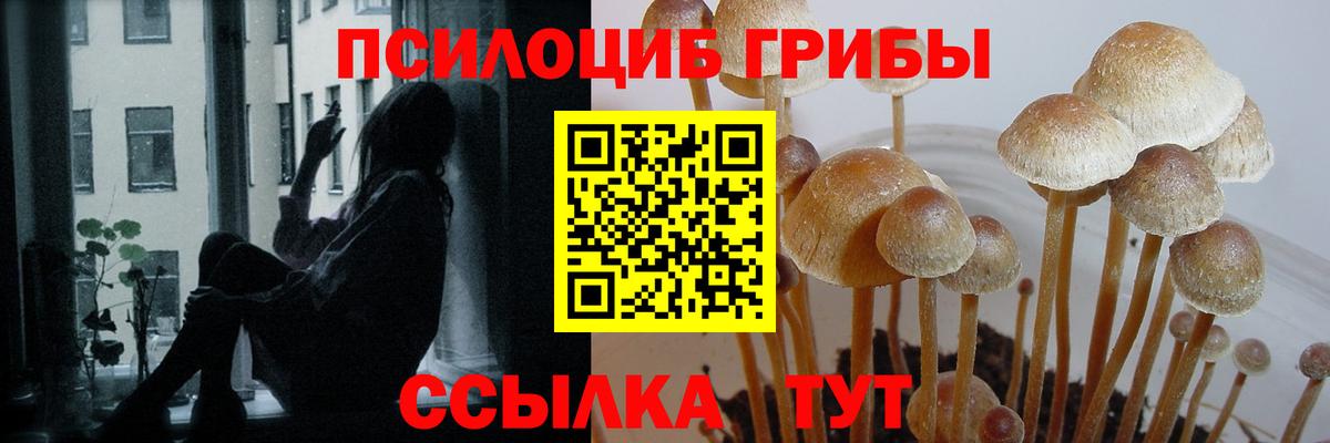 Псилоцибиновые грибы мухоморы  Вход с VPN  Удомля  Псилоцибиновые грибы ЛСД 
